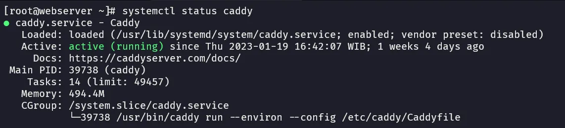 Caddy Status Service Output