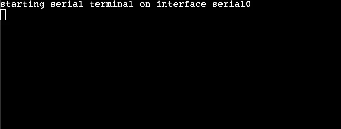 Xterm.js Screen